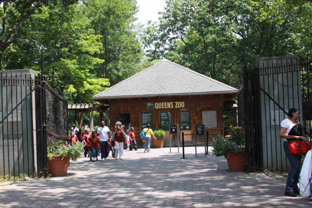 Queens Zoo, NYC